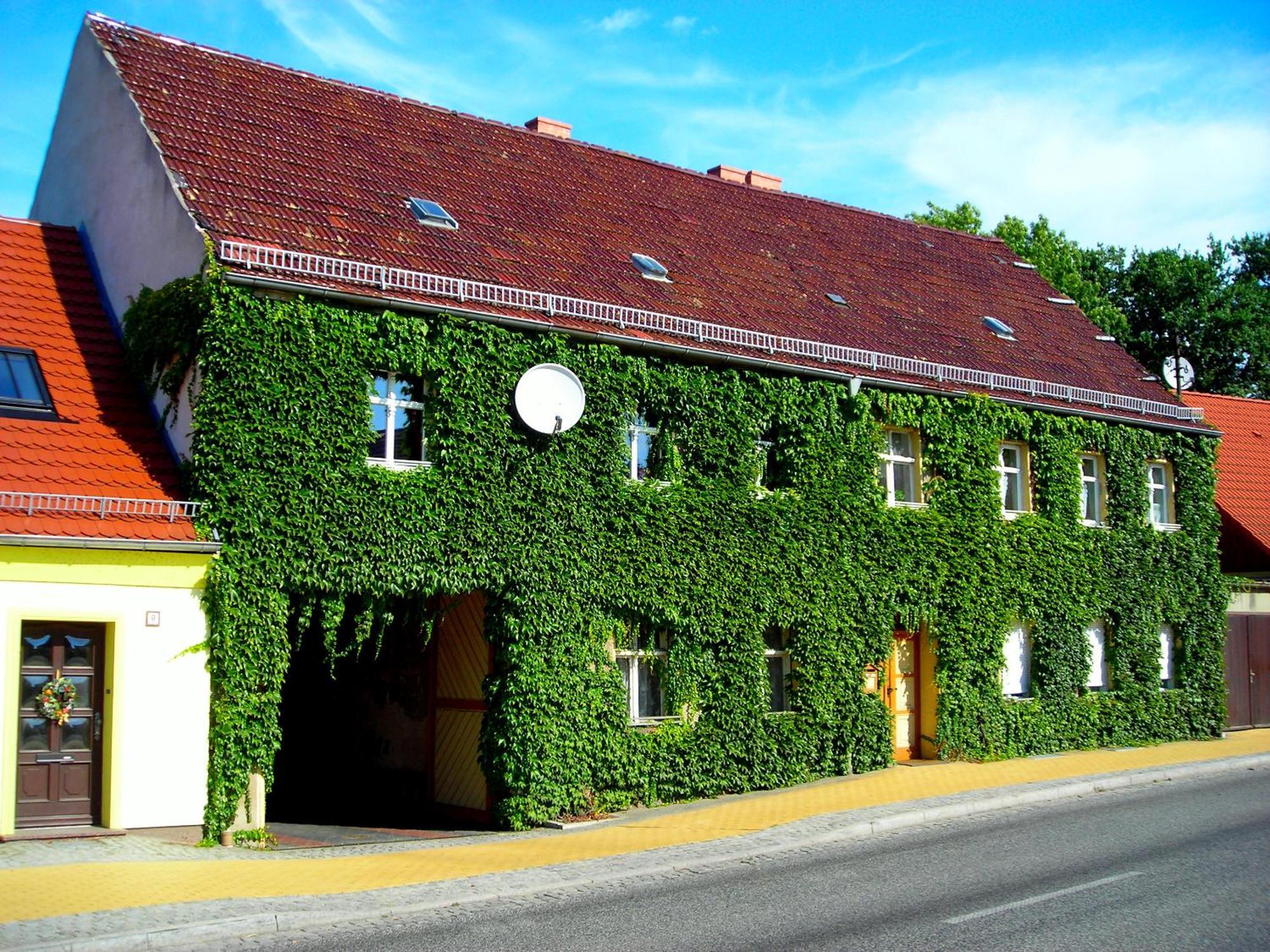Ferienwohnung Auf Ehem. Alten Bauernhof Liebenwalde Exterior photo